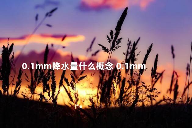 0.1mm降水量什么概念 0.1mm降水量的概念